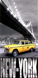 serviette de plage new york cab